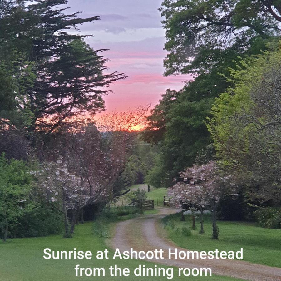 Ashcott Homestead Bed & Breakfast Takapau Exterior foto